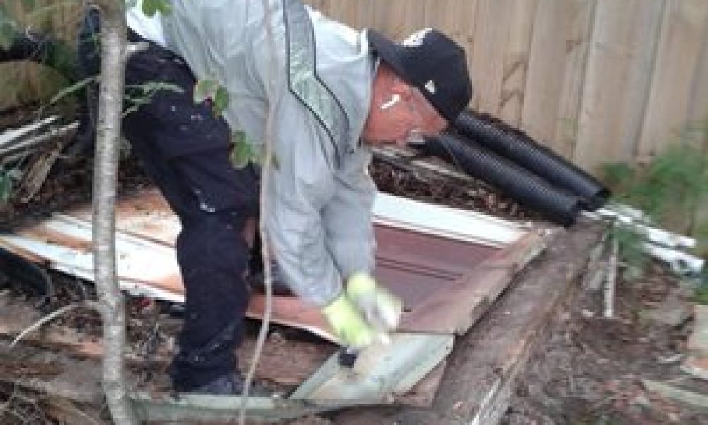 l - 2024-07-05T145742.830