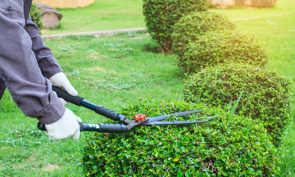 landscape-maintenence-service-nassau-county (1)